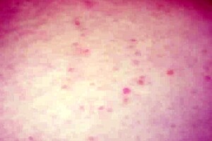 just us latina teen and milf in interracial anal with big black cock