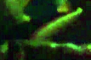 My friends enjoy a relaxing evening together.