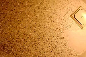 Black beauty enjoys gloryhole fun
