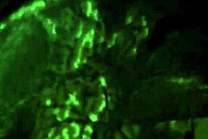 Milf Step Sis Loves Doggy