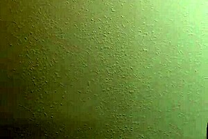 Me fucking this phat booty thot - so tight!