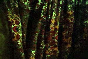 Natasha's Sexy MILF Ass Worshipped