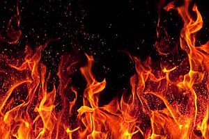 Men lick pussy on street