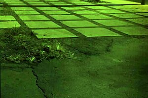 pussy pump bdsm with swollen pussy domination for extreme milf.