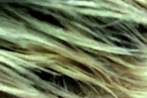 hates my title... but this milf blows and swallows cum like a pro