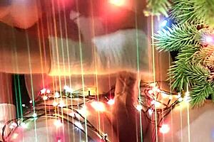 neighbor gave christmas present with hands and mouth