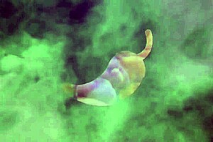 Dei Uma Surra De Cu No L�der Religioso Especial Cumshot