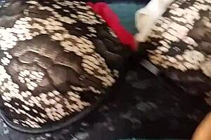 debuting used lingerie from aunt, fucking big tits milf in usa