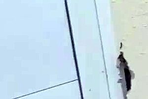 Can The Construction Worker Fuck The Hot Boss On Site?