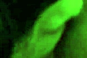 गोरी मॉम ट्रिना माइकल्स झुकी हुई स्टॉकिंग और हील में जिज्ज भरवाती है