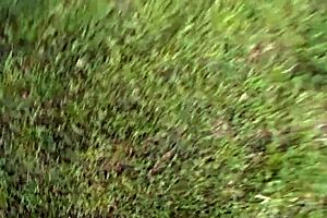 so, mellanie monroe, this gorgeous milf, is getting fucked outdoors while her wild stepbae masturbates. it's a devils film scene.