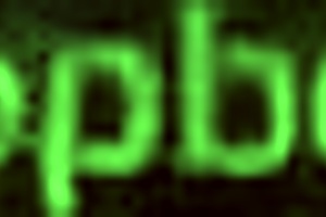 Karen Bessa enjoys encounter with well-endowed partner.