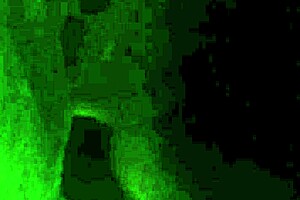 Chubby Mature Woman Performs Blowjob and Fingering on Phone