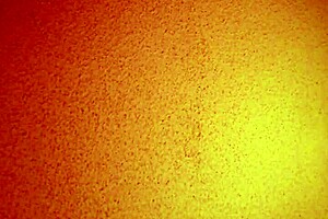 anyone tried this cheap mature Asian hooker yet?