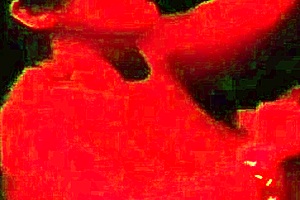 I had sex with her for a whole night