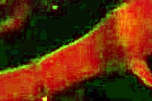 I had sex with her for a whole night