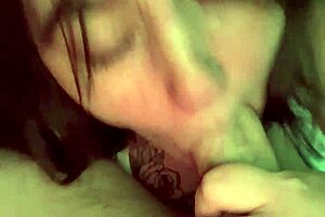 Dtwiggy update 6 img 5362 jul 12 2024.