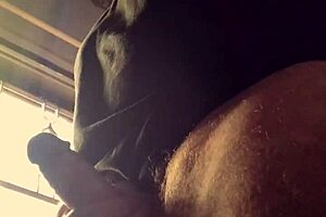 Penis rain - bad wolf28