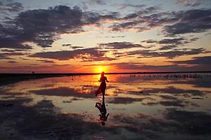 i took a walk on the red sunset of elton salt lake.