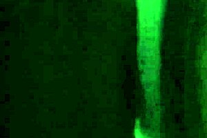 Marathi bhabi gets her juicy pussy and ass worked in doggystyle.