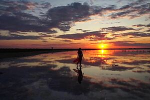 i took a walk on the red sunset of elton salt lake.