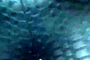 big booty wife dances shaking her ass