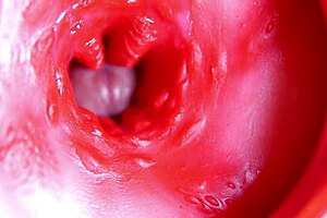 Oil, cute, juicy, fuck doll, sperm, cock, moment