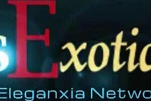 ebony lovers connect in african setting