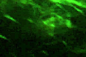 does kingdinglong get a bbc gumjob from a mature white cougar?