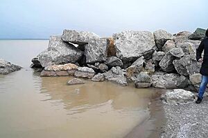 Does This Milf's Hairy Pussy Love Pissing in the Sea Outdoors?