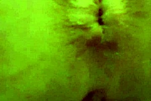 Pissing and asshole winking action for leetdos - LeetDos