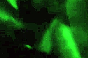 Demi Blue Takes A Stiff Cock In Her Asshole For Great Anal Scene!