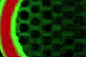 Sexy eva yi chats with rome major