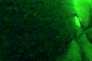 Intriguing Ebony Pussy Licking with Big Ass Focus