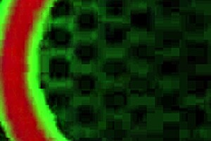 gothic inked lily gets her holes stretched