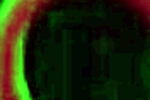 Rome major pounds febby twigs' bubble butt in interracial anal!