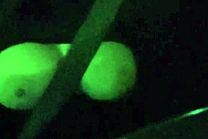 Italian Big Tits Milf Artemisia Love Flashes Boobs While Driving