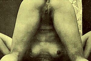 vintage porn collection