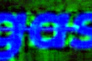 I hired my best friend for photos, ended up banging her