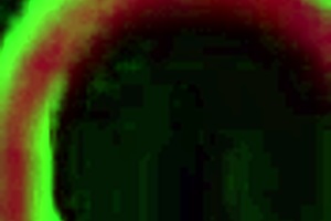 She's riding him cowgirl style with dirty talk and big tits.