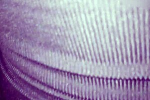 i'm the maid getting fucked by a young guy with licking and blowjob