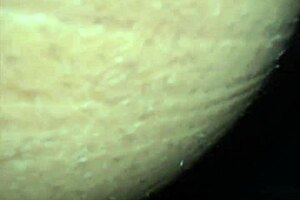 Caught Worshiping That Big Ass By Babymomma