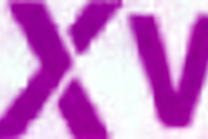 Yessica Bunny Endures Strong Bondage With Monster Cocks In All Holes