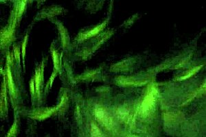 i feel so excited watching milf swallow cum after oral and facial in pov