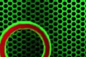 Frisky pawg kimber lee slowly undresses, revealing her big pussy and tits