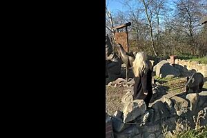 quiet girl in office. fun at parties.