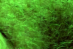 Wow, Mature Blonde Pisses A Lot In Doggy Style And Squatting!