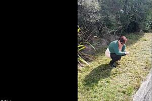 that trashy kiwi milf pissing on roadside with traffic coming so wild