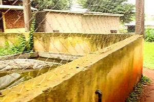 Footballer Meets Mature Woman in African Tourist Park for Quick Public Fuck!