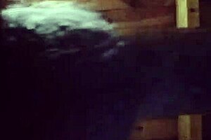 Let's fuck passionately with this curvy latina mature amateur in close-up, her ass and tattoos driving me crazy.